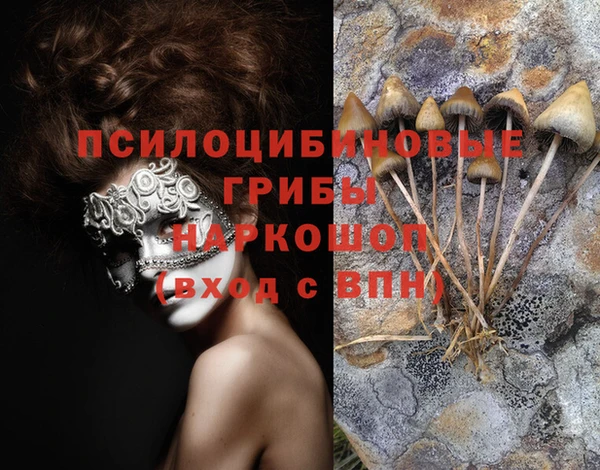 мяу мяу кристалл Богородицк