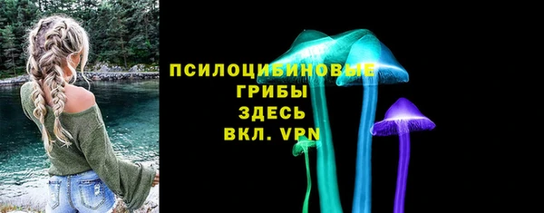 2c-b Богородск