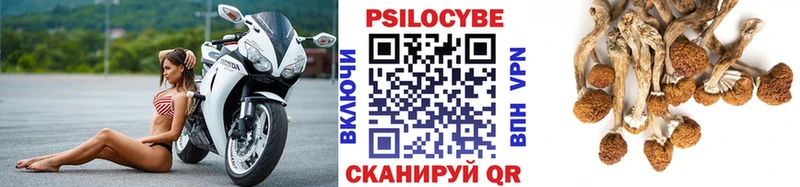 Галлюциногенные грибы Cubensis Купить Кропоткин